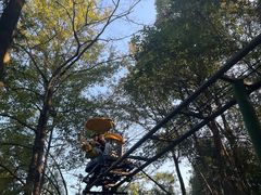 -石燕湖生态旅游景区