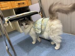 -佑安动物医院·全科·内窥镜中心(幸福巷店)