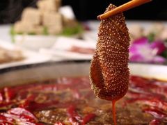 爽脆毛肚-大龙燚火锅(春熙店)