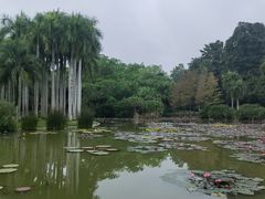 -中国科学院西双版纳热带植物园