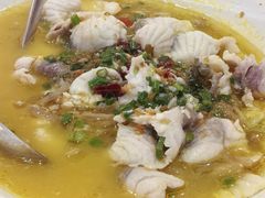 -港升鱼师傅·中山脆肉鲩