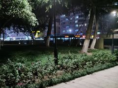-大关公园