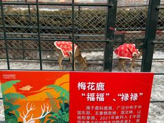 -杉杉奥特莱斯广场(哈尔滨店)