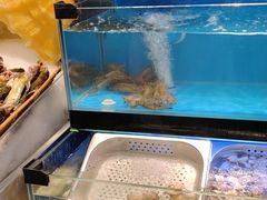 -苏格里岛自助海鲜烤肉(青秀万达店)