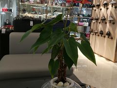 -湛江鑫海名城(鑫海华庭店)