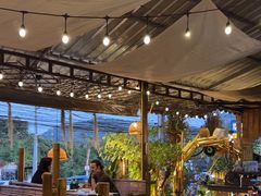 -Jungle Kitchen