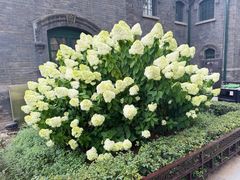 -张学良旧居陈列馆