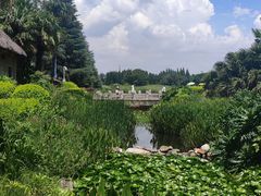 -云南民族村