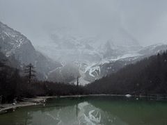 -稻城亚丁景区-冲古草甸