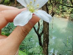 -梅州天地人花园酒店(梅县人民广场店)