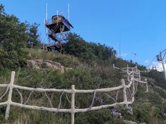 -帽儿山风景区
