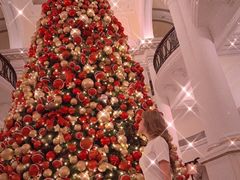 -LONG BAR 廊吧(外滩华尔道夫酒店)