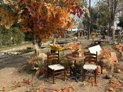 -HERRE·FARM 赫尔露营农场·团建聚会包场