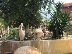 -灵玲国际马戏城