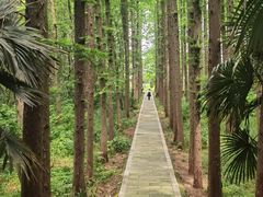 -同里国家湿地公园
