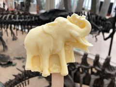 -天津自然博物馆