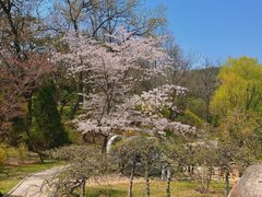 -棒棰岛宾馆景区