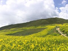 -扁都口生态休闲旅游区