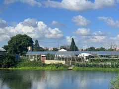 -马陆小张葡萄园农家乐