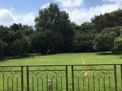 -上海市保健医疗中心(华东疗养院)