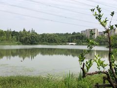 -昆山城市生态森林公园