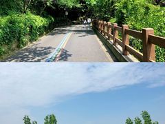 -杭州半山国家森林公园