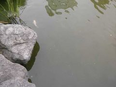 -江宁织造博物馆