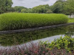 -蠡湖大桥公园