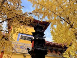 -徐州和平妇产医院·月子中心