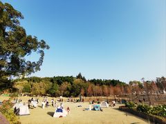 -牛岗山公园
