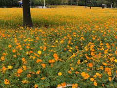 -大宁灵石公园西门票处