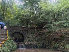 -莫干山风景区