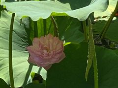 -金桥现代产业园区-停车场