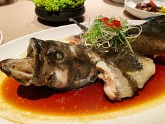 清蒸龙趸鱼-汤城小厨•粤菜•靓汤(金融街店)