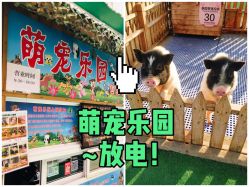 -萌宠亲子动物乐园(槐房万达店)