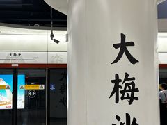 -大梅沙海滨公园