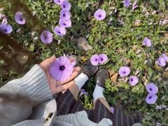 -西北大学(桃园校区)