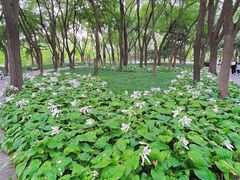-玲珑塔公园