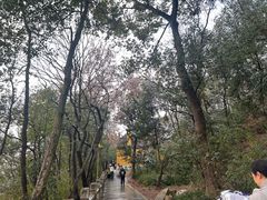 -灵岩山风景区
