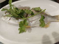 -长平肥姐白粥·海鲜打冷