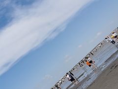 -奉贤海滩