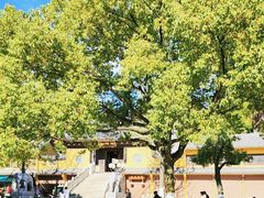 -汤山公园
