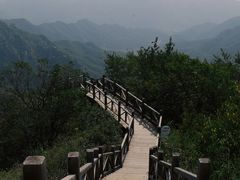 -大岭沟猕猴桃谷风景区