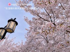 -苏州上方山国家森林公园