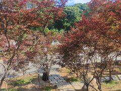 -广州市帽峰山景区