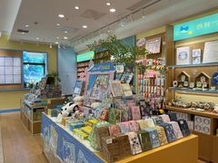 -猫的天空之城概念书店(景德镇陶溪川店)