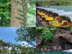 -佛冈森波拉度假区