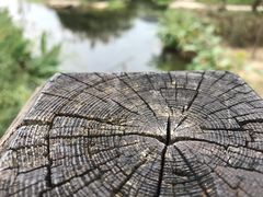 -贵阳市花溪国家城市湿地公园