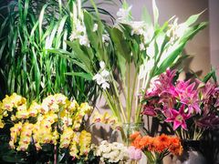 -春暖花开(西溪店)