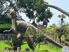 -自贡恐龙博物馆